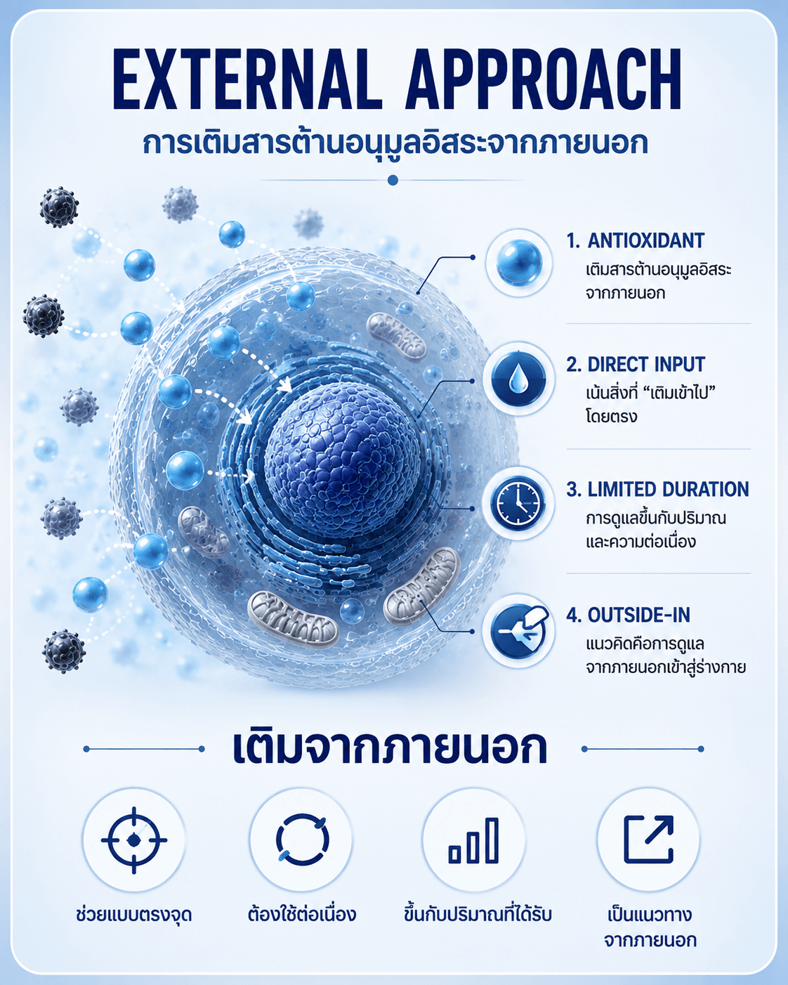 แนวทางเติมสารต้านอนุมูลอิสระจากภายนอก